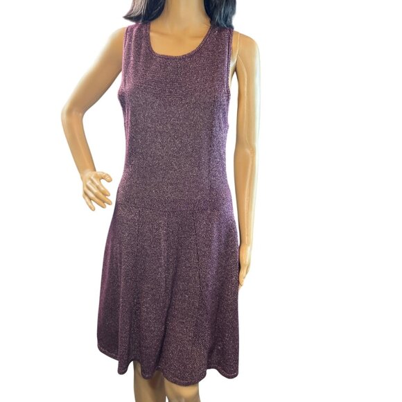 American Eagle Sleeveless Metallic Knit Fit & Flare Mini Dress in Burgundy - Picture 1 of 5